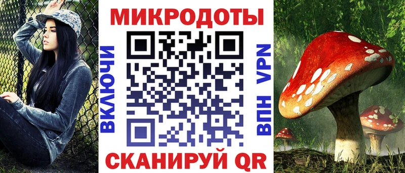 как найти закладки Котово Псилоцибиновые грибы мухоморы